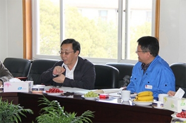 2013年3月18日，时任国度工信部节能司副司长杨铁生一行光临公司参观领导