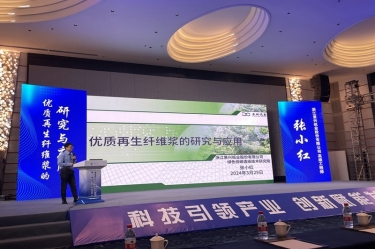 J9集团纸业高技术人才张幼红在第一届浙江。危┲交伦柿喜荡葱路⒄勾蠡嶙鞣窒